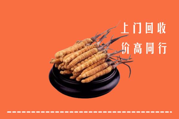 高价求购：银川回收散虫草