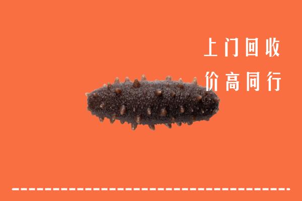 高价求购：银川回收海参